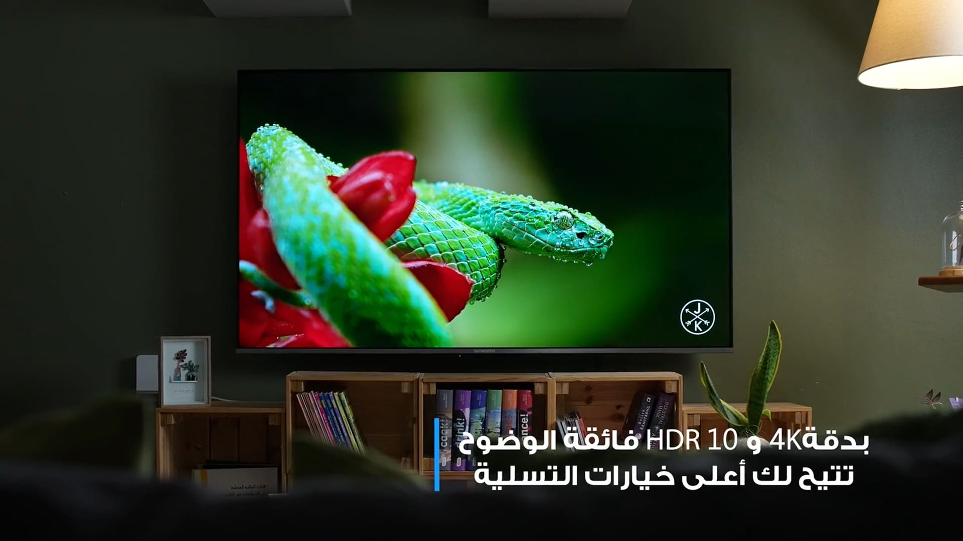 Skyworth Smart TV